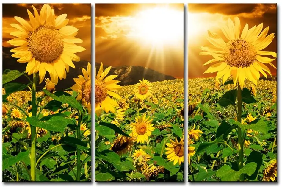 Modern Artwork Sunflower Flower 3 Pieces Art Canvas Can For Home Wall Decoration
Modern Artwork Sunflower Flower 3 Pieces Art Canvas Can For Home Wall Decoration