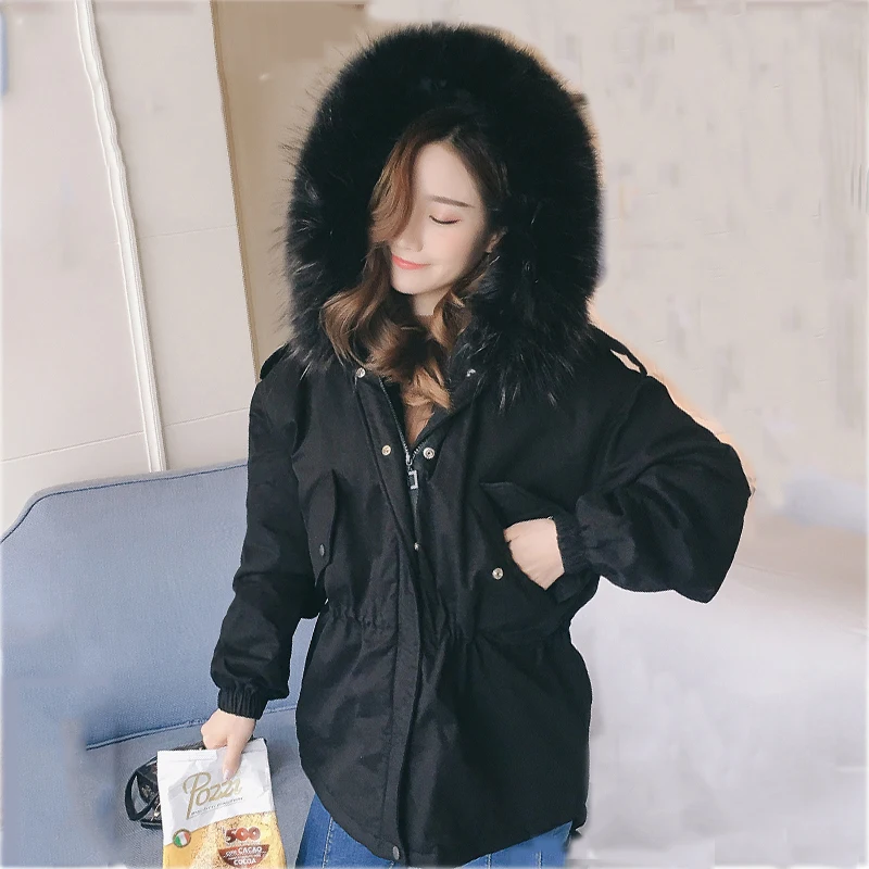 New Down Cotton Jacket 2019 Women Winter Jacket Thick Coat for Women Fur Collor Hooded Down Parka Warm Female Coats PP162
New Down Cotton Jacket 2019 Women Winter Jacket Thick Coat for Women Fur Collor Hooded Down Parka Warm Female Coats PP162