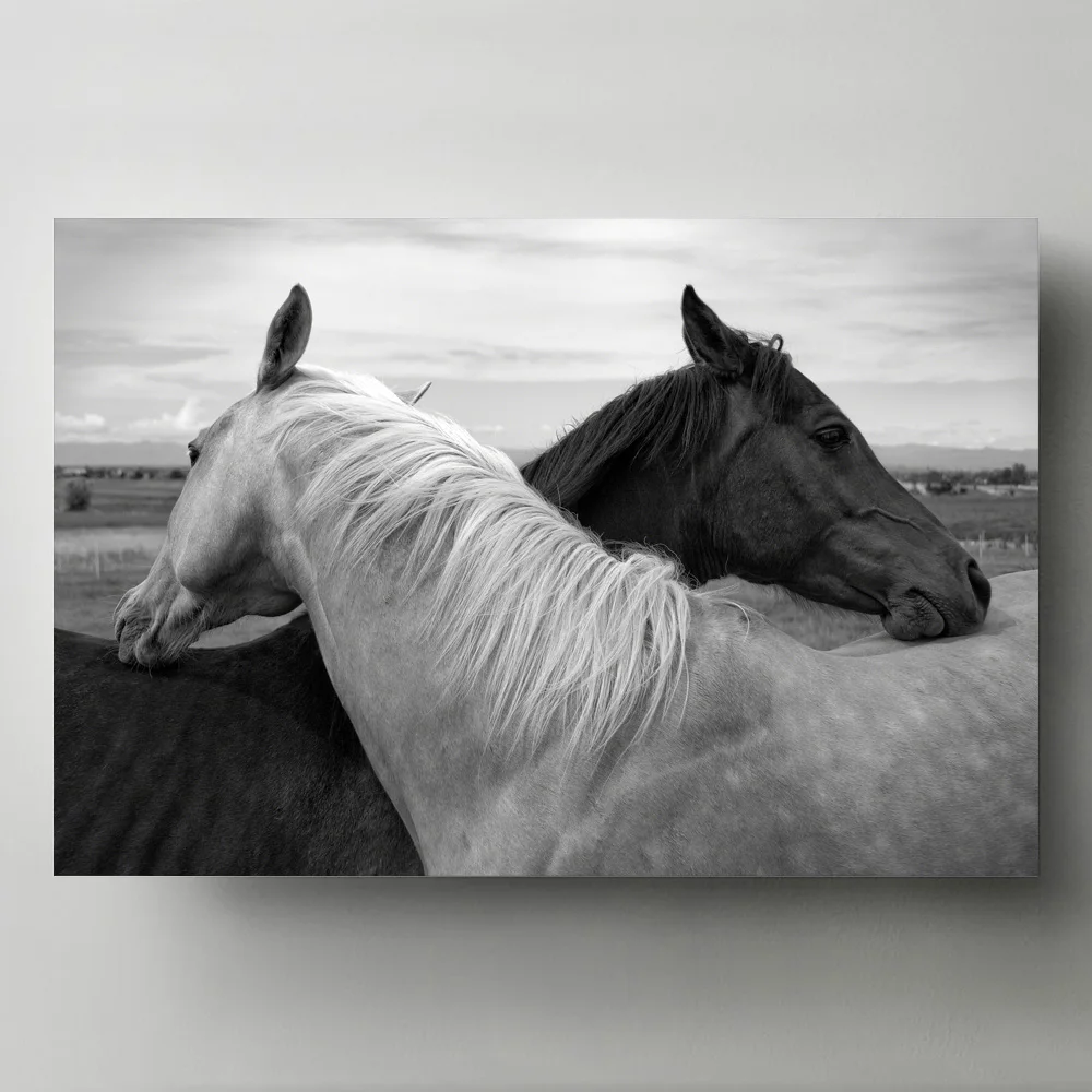 

Декоративная картина, шелковая Настенная картина с животными, черно-белые лошади, картина, холст, плакаты и принты, современные украшения для дома