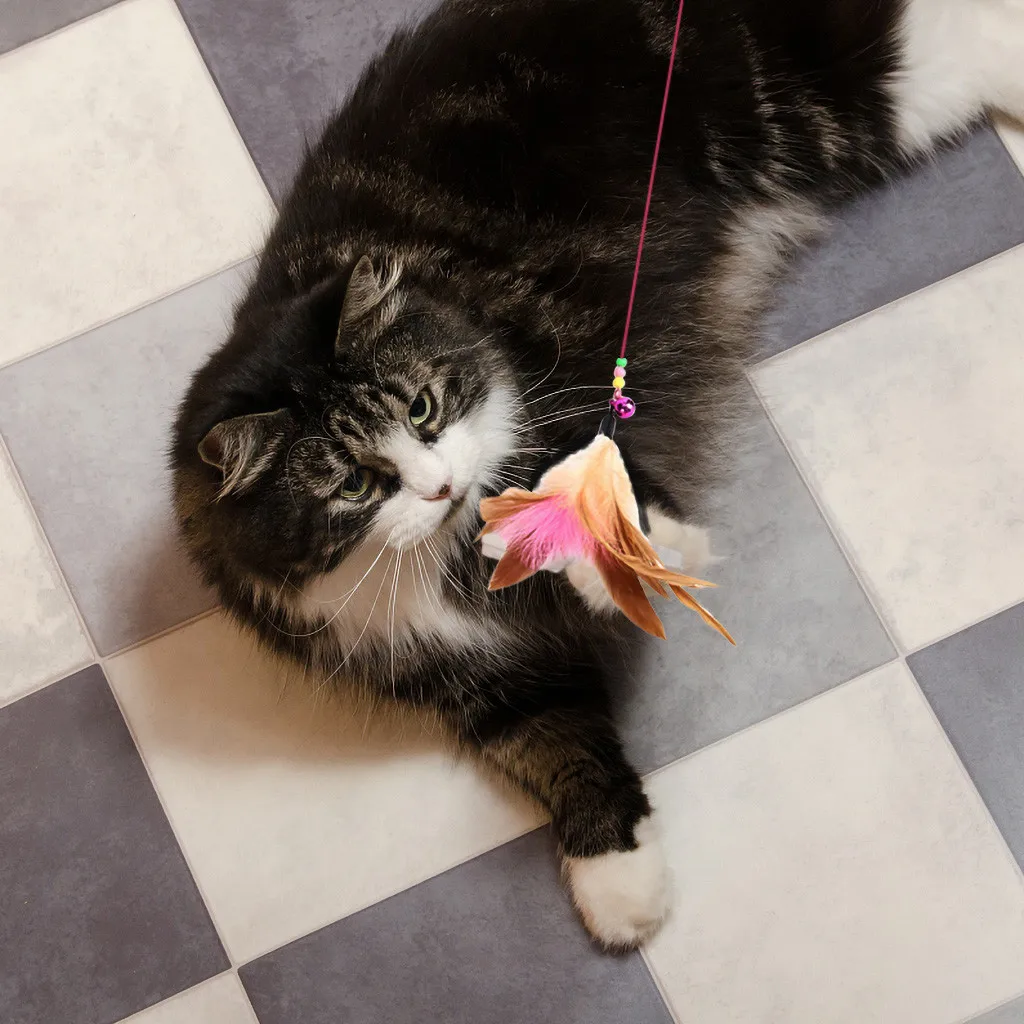 Pet Cat Feather Bell Pendant Teaser Toy Kitten Scratcher Chaser Magic Wand Fishing Cat Rod Mr. Mrs. Kitty & Cat Interactive Toy
Pet Cat Feather Bell Pendant Teaser Toy Kitten Scratcher Chaser Magic Wand Fishing Cat Rod Mr. Mrs. Kitty & Cat Interactive Toy