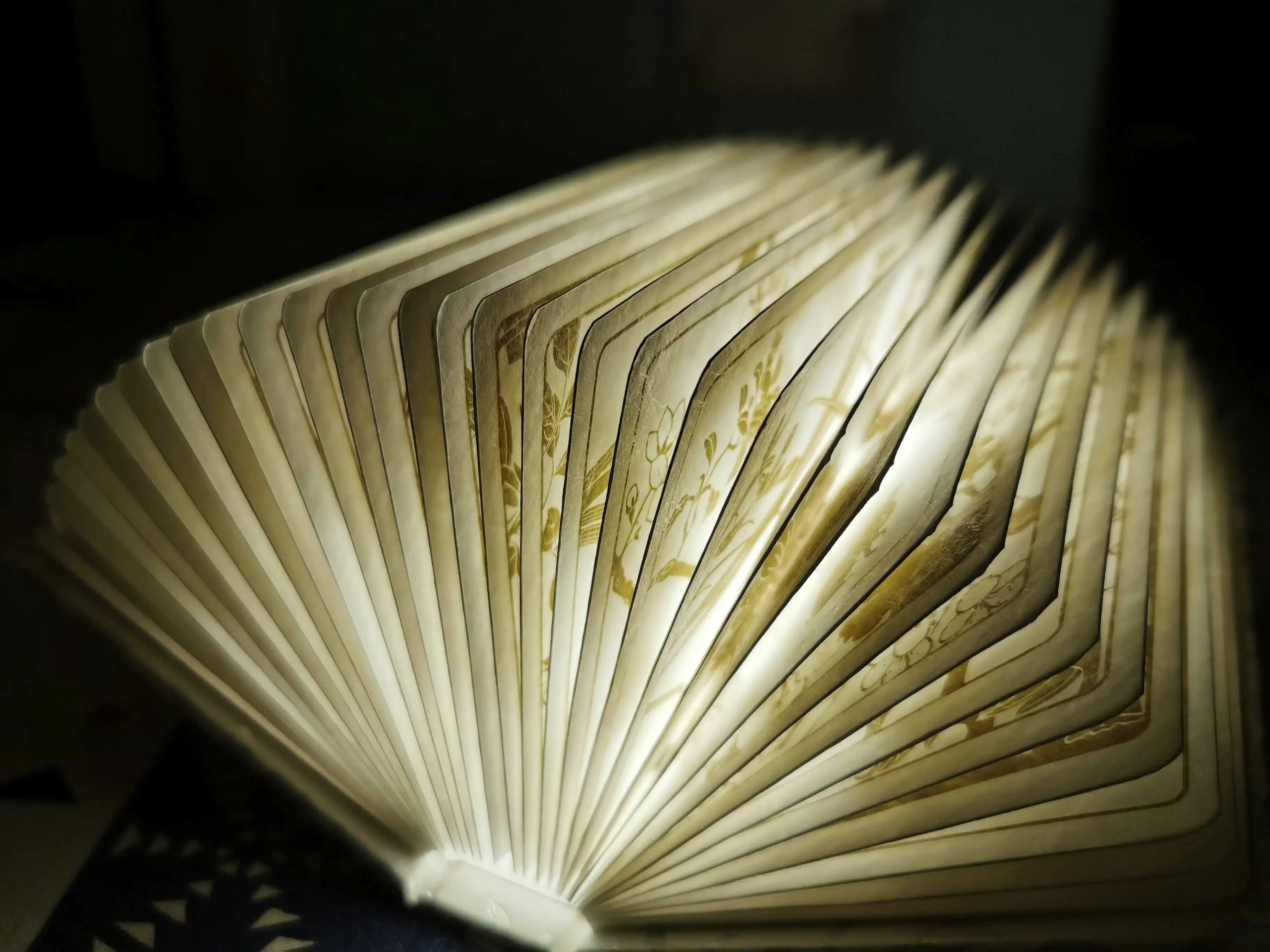 CX Museum the 12 Floras Book Lamp Creative Folding Led Charging Small Night Lamp
CX Museum the 12 Floras Book Lamp Creative Folding Led Charging Small Night Lamp