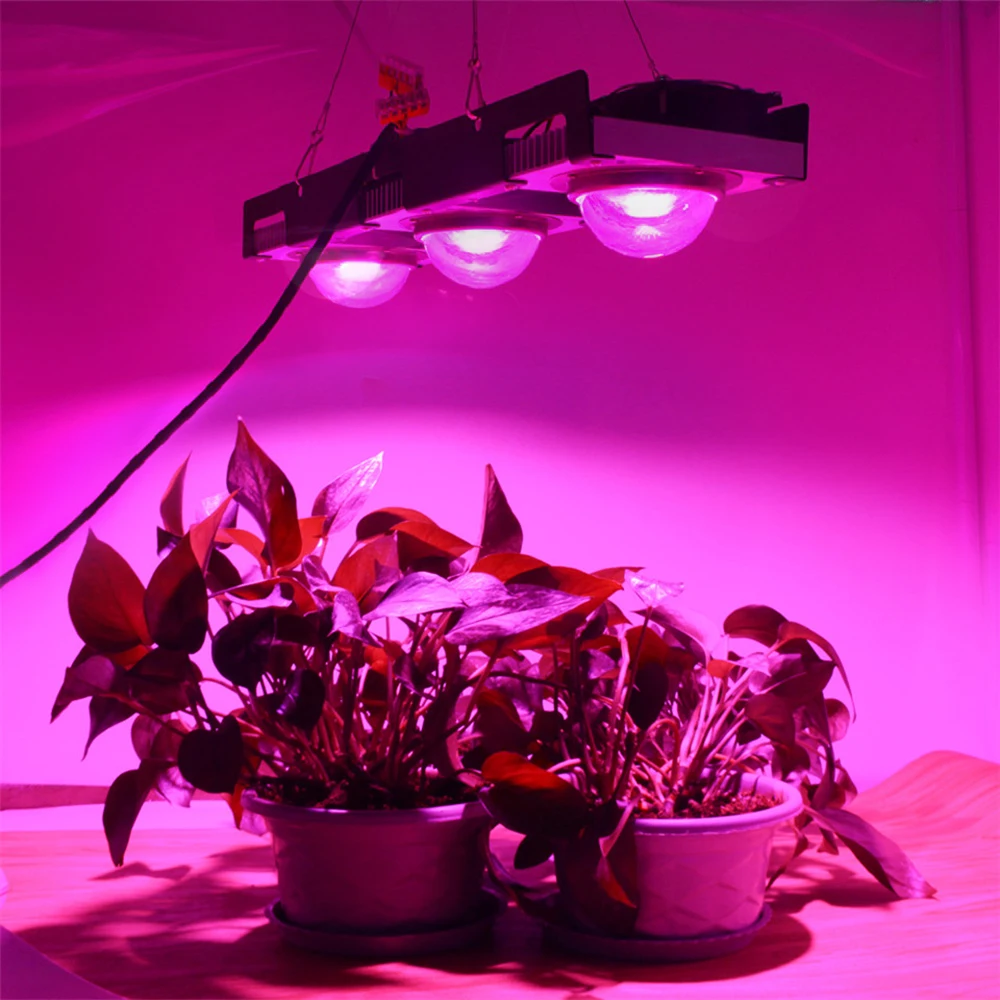 COB LED Grow Light Full Spectrum 100W 200W 300W LED Plant Grow Lamp For Indoor Plants Flowers Greenhouses Hydroponics Grow Tents
COB LED Grow Light Full Spectrum 100W 200W 300W LED Plant Grow Lamp For Indoor Plants Flowers Greenhouses Hydroponics Grow Tents
