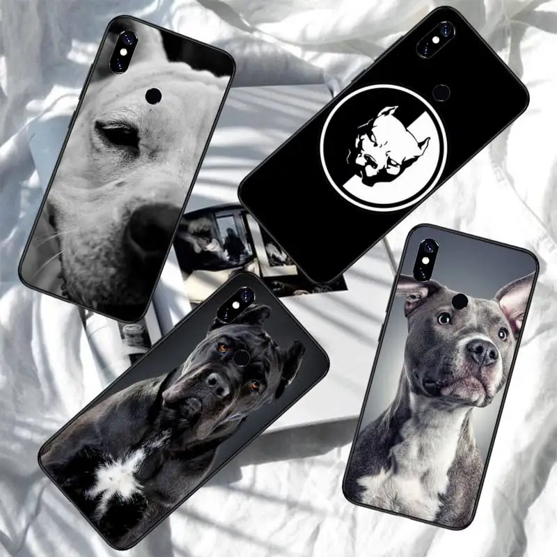Pit Bull cute Pet Dog Pitbull Phone Case For Xiaomi Redmi note 7 8 9 11 i t s 10 A poco f3 x3 pro lite funda shell coque cover
Pit Bull cute Pet Dog Pitbull Phone Case For Xiaomi Redmi note 7 8 9 11 i t s 10 A poco f3 x3 pro lite funda shell coque cover