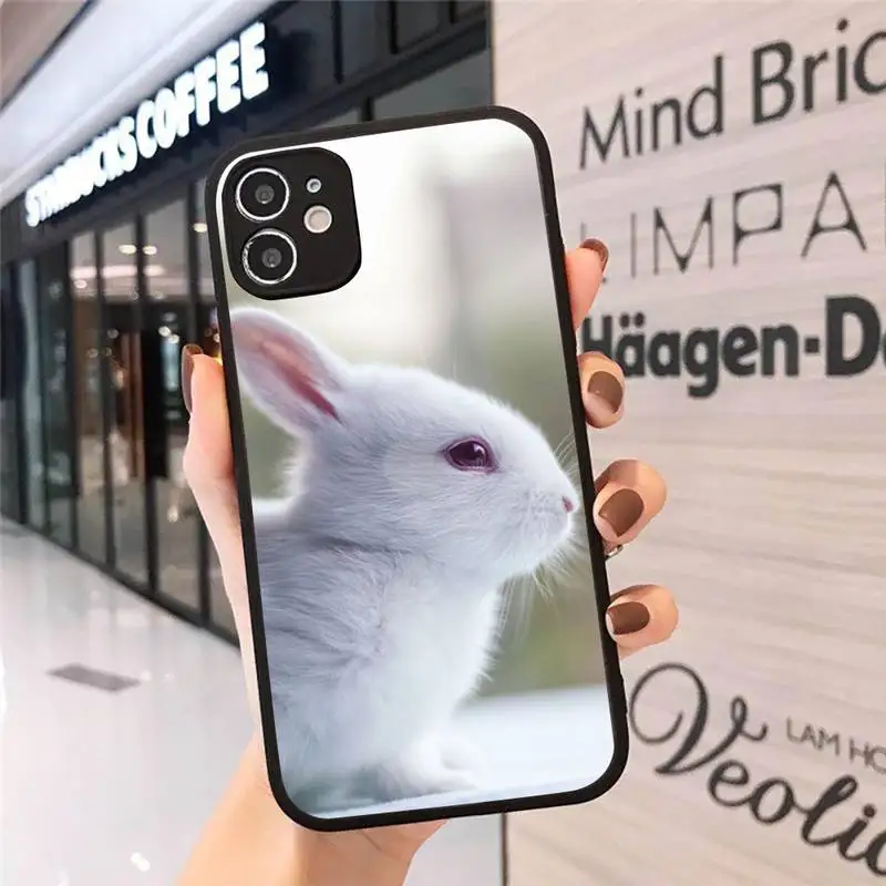 Phone Case For iPhone 12 11 Mini Pro XR XS Max 7 8 Plus X Cute rabbit Matte transparent cover 
Phone Case For iPhone 12 11 Mini Pro XR XS Max 7 8 Plus X Cute rabbit Matte transparent cover