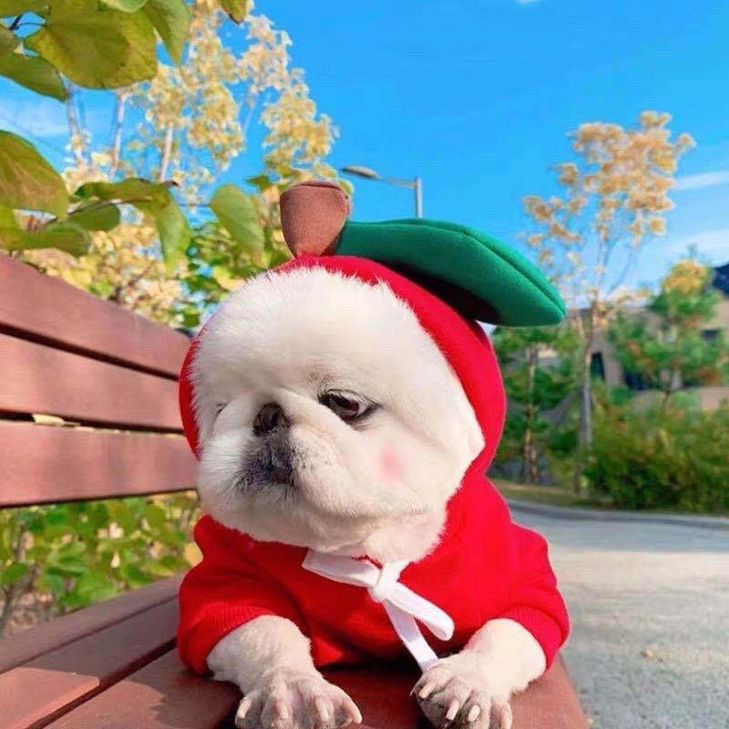 Cartoon Dogs Clothes Lovely Pet Fruit Turns Into Hoodies Funny Pet Sweatshirt Cute For Small Medium Large Dogs
Cartoon Dogs Clothes Lovely Pet Fruit Turns Into Hoodies Funny Pet Sweatshirt Cute For Small Medium Large Dogs