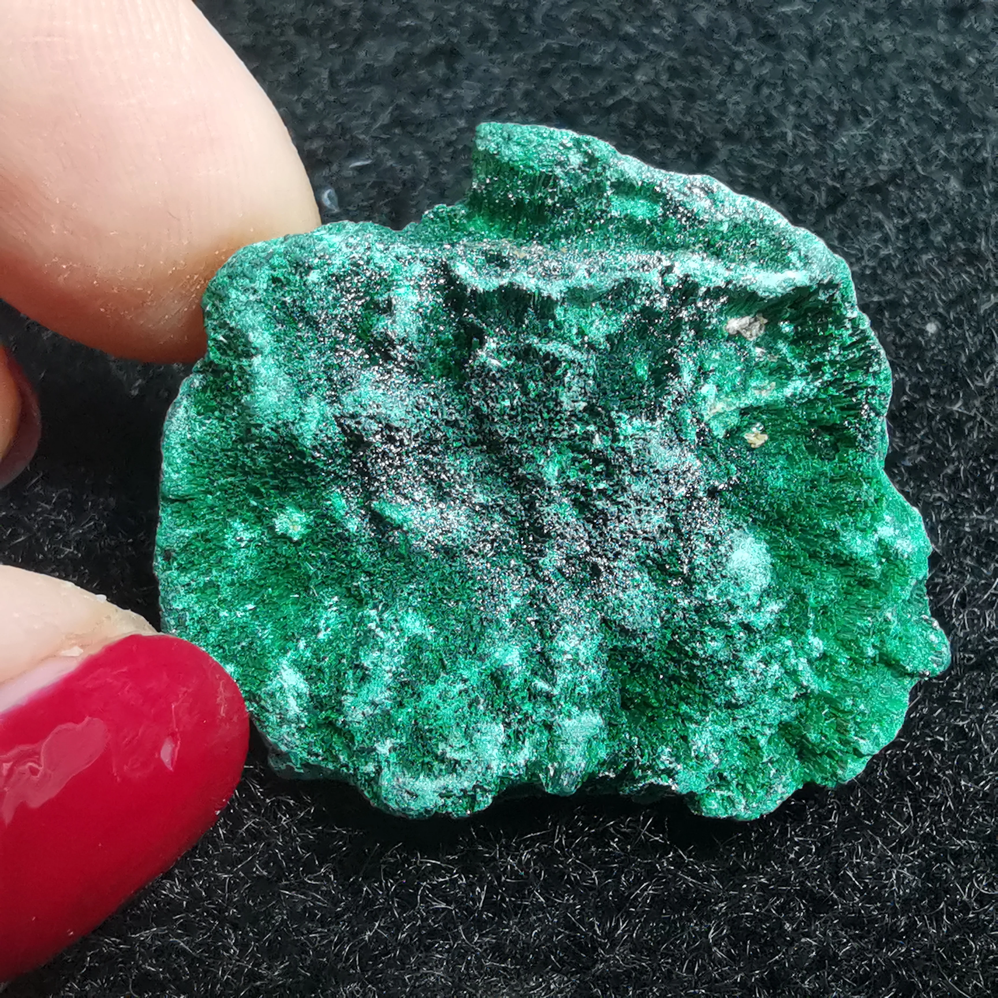 17gNatrliche Nadel geformt Malachite Landschaft grner Stein quadratische Mineralproben Heilung Steinaura Hausdekoration
17gNatrliche Nadel geformt Malachite Landschaft grner Stein quadratische Mineralproben Heilung Steinaura Hausdekoration