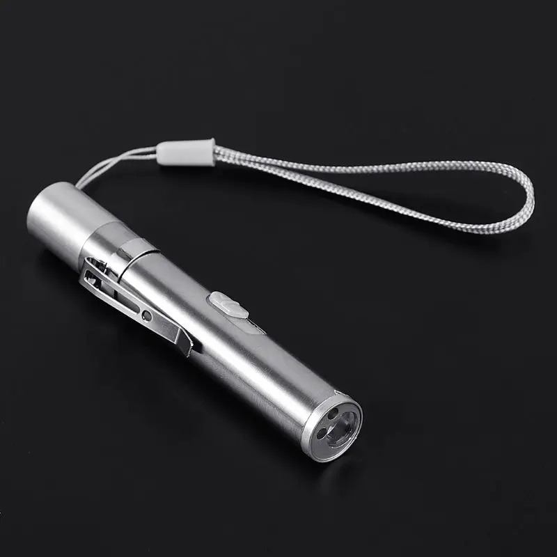 

3 In 1 Cat Chaser USB Charge Pflichtige Fun Traning Toys Silver Interactive LED Light Pen Pointer Flashlight For Fake Currency