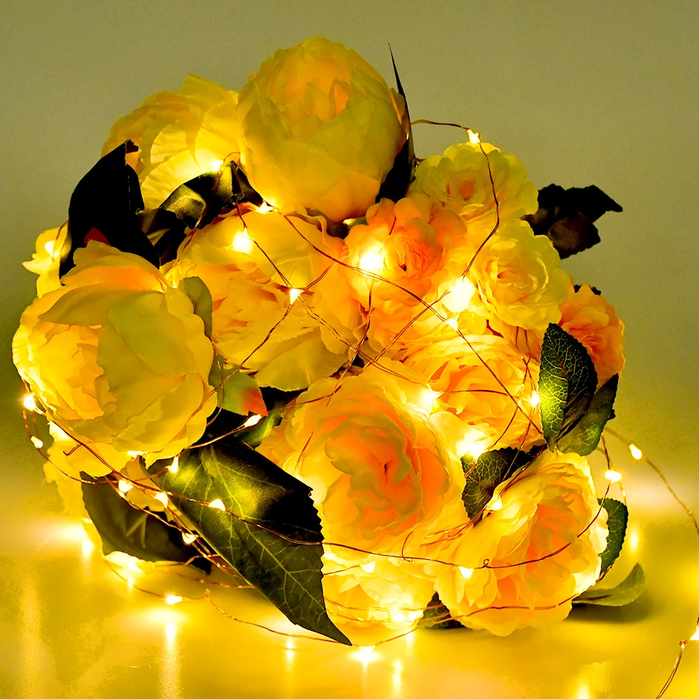 10m 100leds LED String Light Copper Wire Battery Powered for Wedding Xmas Party Decor Holiday Lamp
10m 100leds LED String Light Copper Wire Battery Powered for Wedding Xmas Party Decor Holiday Lamp