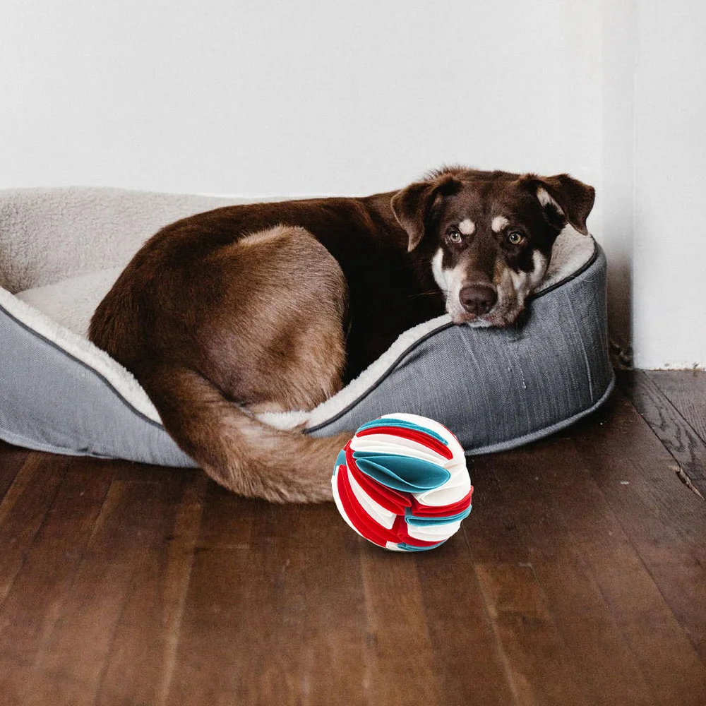 Creative Pet Chew Dog Leak Food Pet Sniff Toys Dog Grinding