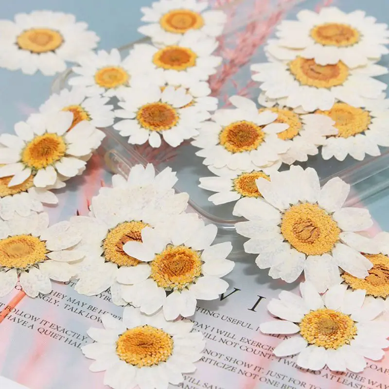 100Pcs Real Natural Dried Pressed Flowers White Daisy Pressed Flower for Resin Jewelry Nail Stickers Makeup Art Crafts
100Pcs Real Natural Dried Pressed Flowers White Daisy Pressed Flower for Resin Jewelry Nail Stickers Makeup Art Crafts