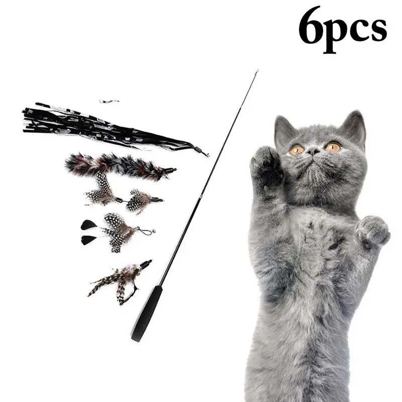 Legendog 6Pcs/Set Funny Cat Teaser Refill Toy Cat Favors Fake Feather Kitten Wand Replacement With Extendable Pole Pet Supplies
Legendog 6Pcs/Set Funny Cat Teaser Refill Toy Cat Favors Fake Feather Kitten Wand Replacement With Extendable Pole Pet Supplies