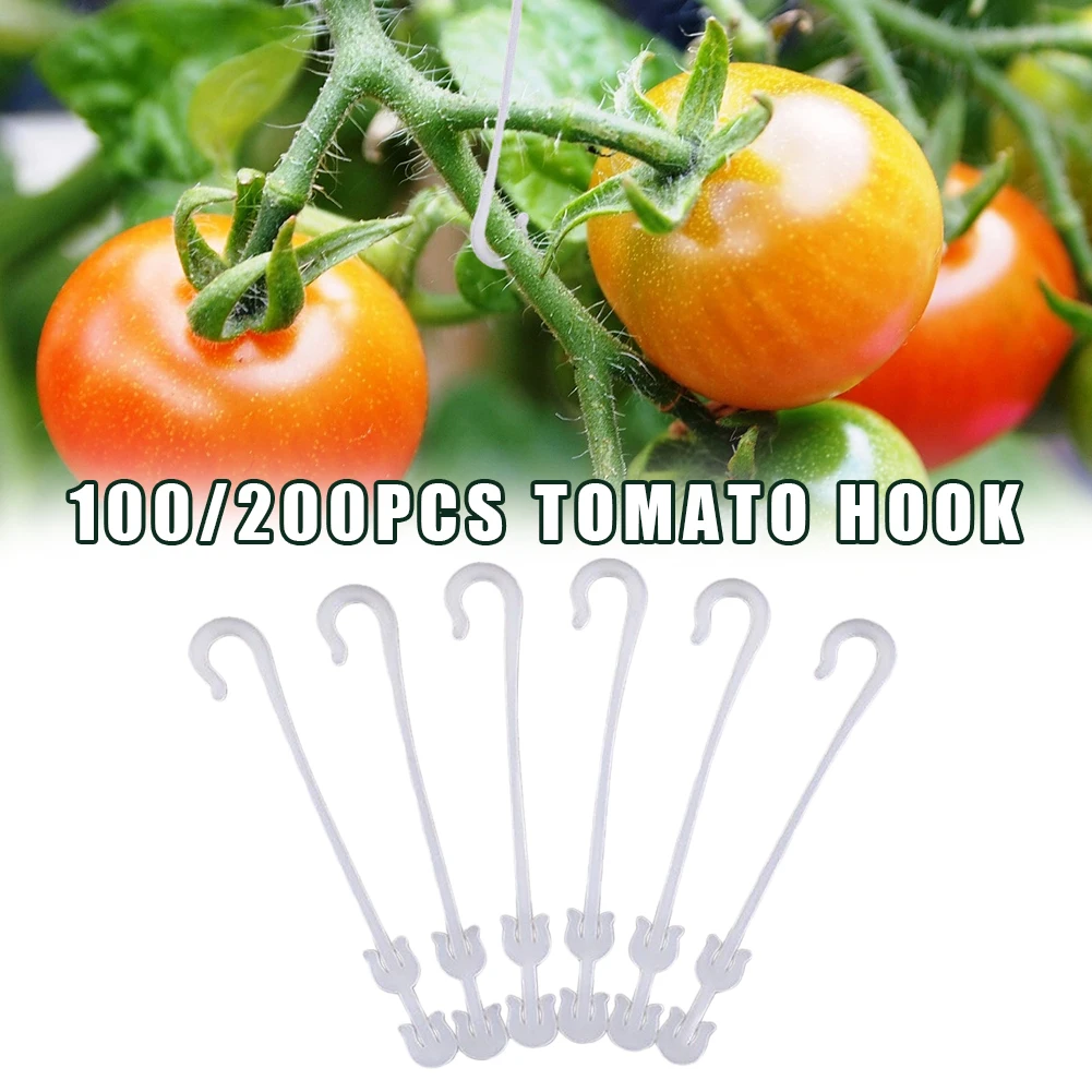 100Pcs Tomato Support J Hooks Tomato Plant Support Tomato Ear Hook Prevent Tomatoes Fruit Cluster From Pinching Or Falling Off
100Pcs Tomato Support J Hooks Tomato Plant Support Tomato Ear Hook Prevent Tomatoes Fruit Cluster From Pinching Or Falling Off