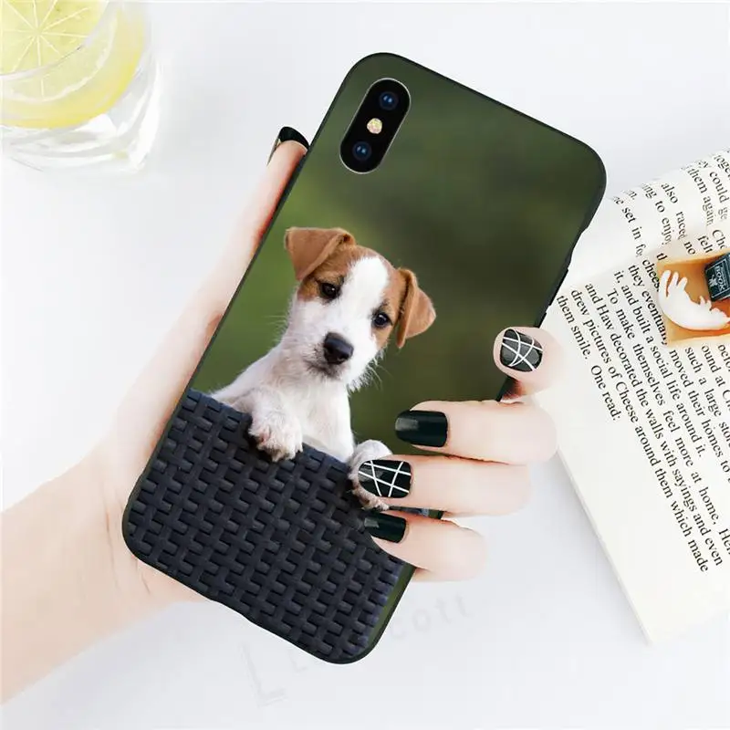 Jack Russell Terrier cute animal Phone Case for iPhone 11 12 mini pro XS MAX 8 7 6 6S Plus X 5S SE 2020 XR
Jack Russell Terrier cute animal Phone Case for iPhone 11 12 mini pro XS MAX 8 7 6 6S Plus X 5S SE 2020 XR