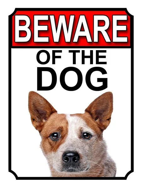 Beware of the Dog Retro tin sign nostalgic ornament metal poster garage art deco bar cafe shop
Beware of the Dog Retro tin sign nostalgic ornament metal poster garage art deco bar cafe shop