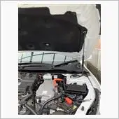 2x Car Styling Front Hood Bonnet Modify Gas Struts Lift Support Shock Damper for Honda Accord 2013-2017 Absorber
2x Car Styling Front Hood Bonnet Modify Gas Struts Lift Support Shock Damper for Honda Accord 2013-2017 Absorber