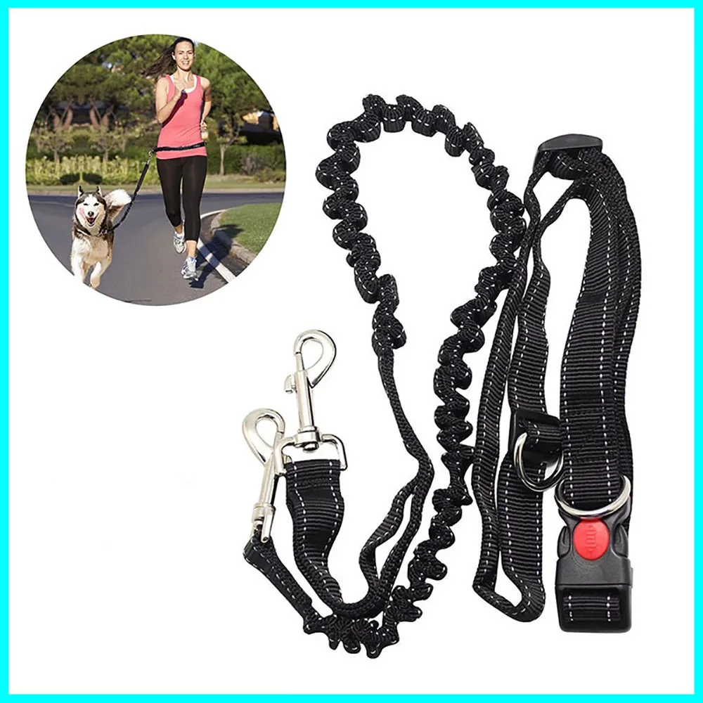 Pet Running Rope Reflective Leash Traction Nylon Dog Belt Elastic Hands Freely Jogging Pull Harness Collar Metal D-ring Leashes 
Pet Running Rope Reflective Leash Traction Nylon Dog Belt Elastic Hands Freely Jogging Pull Harness Collar Metal D-ring Leashes