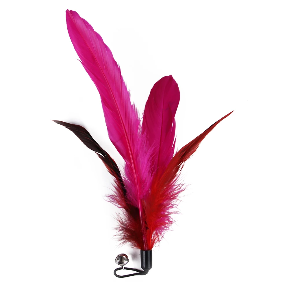 11 PCS Replacement Cat Feather Toy Set, Cat Feather Teaser Wand Toy for Kitten Cat Having Fun Exercise Playing Without the Stick
11 PCS Replacement Cat Feather Toy Set, Cat Feather Teaser Wand Toy for Kitten Cat Having Fun Exercise Playing Without the Stick