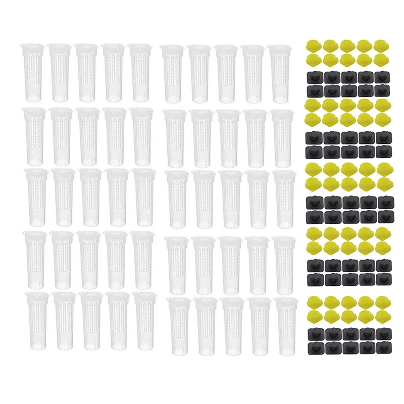 50PCS Bee Queen Cages Plastic Protective Cover Cage Cell Box Cup Rearing Bees King Tools Beekeeper Beekeeping Bet Beekeeping
50PCS Bee Queen Cages Plastic Protective Cover Cage Cell Box Cup Rearing Bees King Tools Beekeeper Beekeeping Bet Beekeeping