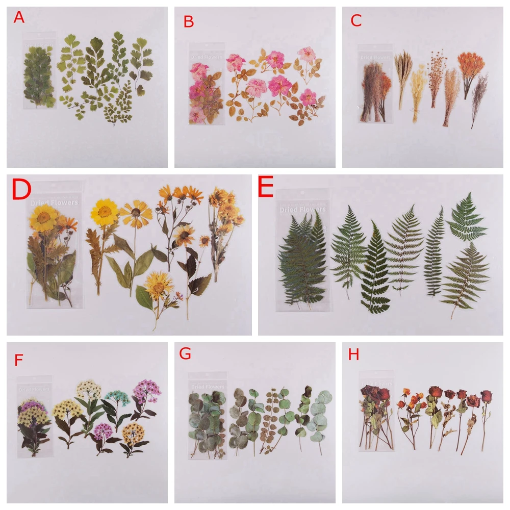6Pcs Retro Plant Dried Flowers Journal Decor Diary Stickers Scrapbooking Planner Decorative Stationery Stickers
6Pcs Retro Plant Dried Flowers Journal Decor Diary Stickers Scrapbooking Planner Decorative Stationery Stickers