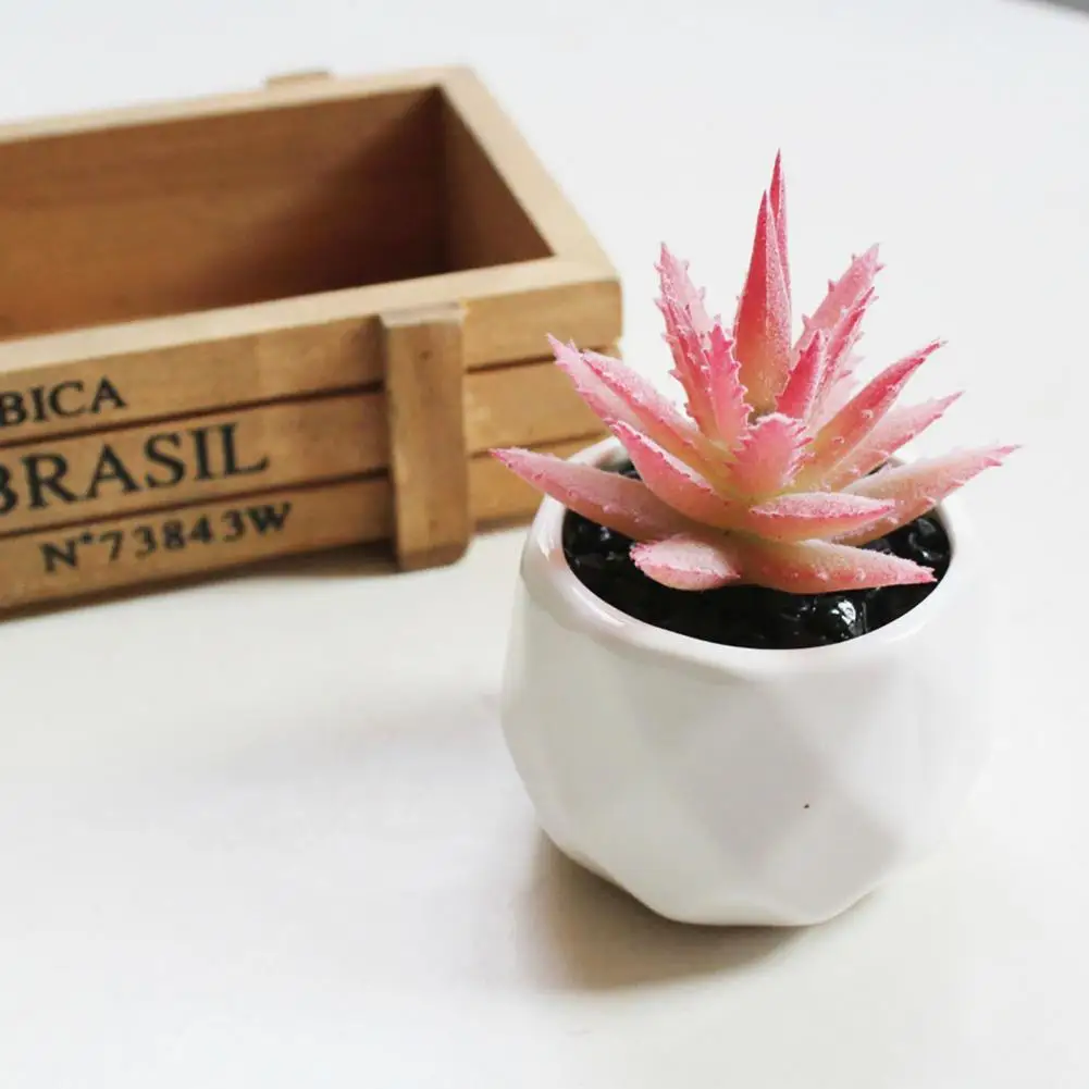 Easy to Maintain Artificial Potted White Ceramic Potted Mini Modern Decoration Artificial Succulent Potted for Home
Easy to Maintain Artificial Potted White Ceramic Potted Mini Modern Decoration Artificial Succulent Potted for Home