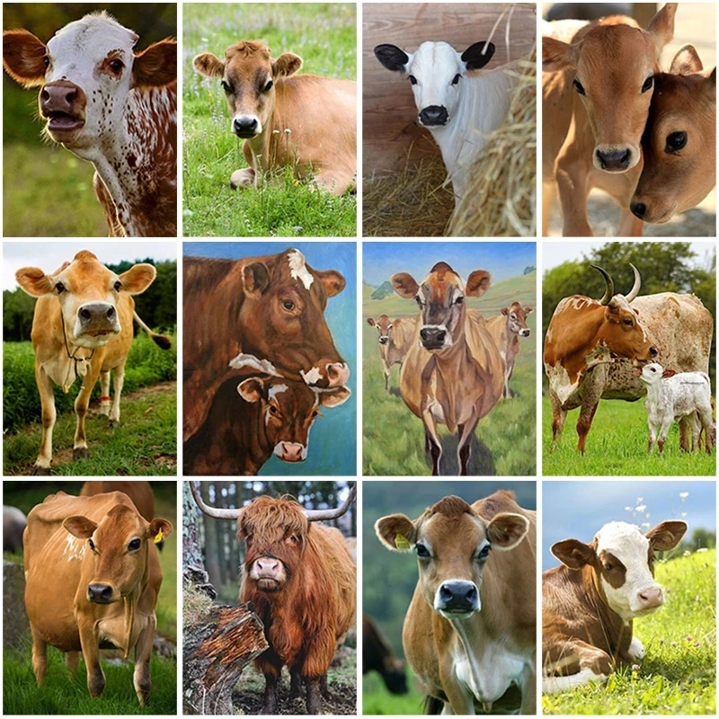 Sontonga 5D Diamond Painting Full Round Drill Cow Cross Stitch Rhinestone Mosaic Animal Diamond Embroidery Mosaic Home Decor
Sontonga 5D Diamond Painting Full Round Drill Cow Cross Stitch Rhinestone Mosaic Animal Diamond Embroidery Mosaic Home Decor