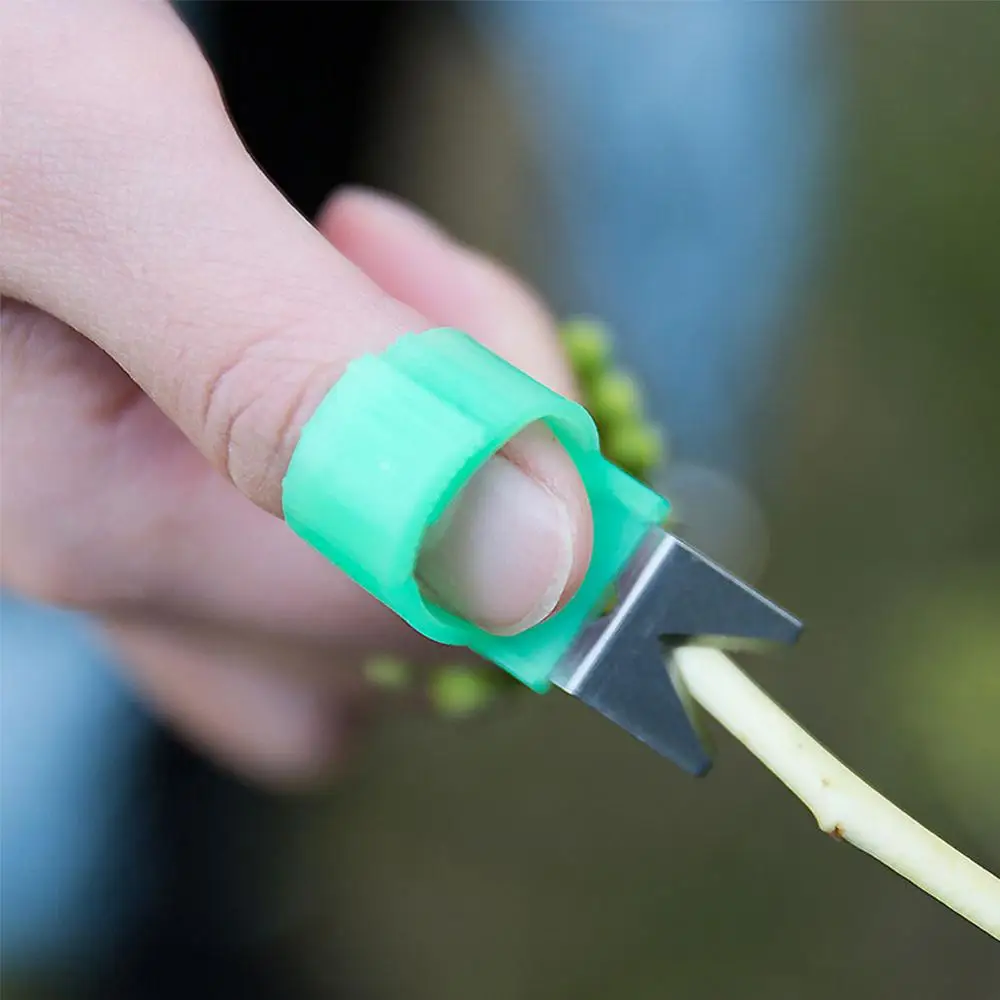 3pcs Fruit and Vegetable Picking Ring Picking Tool V type + F type + T Type Picking Blade Tool Hand Picker Grape Cucumber
3pcs Fruit and Vegetable Picking Ring Picking Tool V type + F type + T Type Picking Blade Tool Hand Picker Grape Cucumber