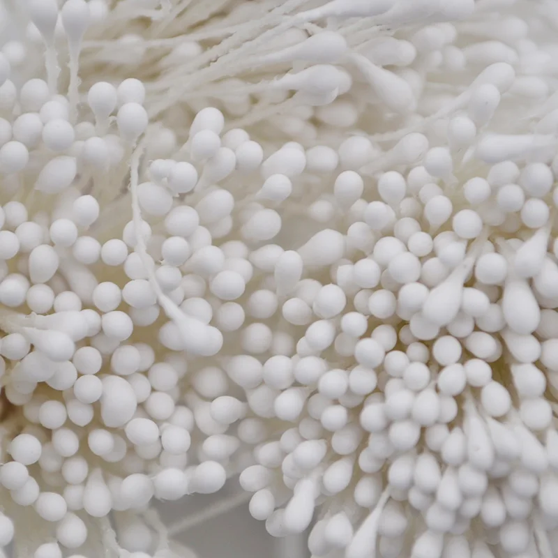 800pcs 1.5mm Mini Stamen Handmade Artificial Flower For Wedding Party Home Decoration DIY Christmas Scrapbook Craft Accessories
800pcs 1.5mm Mini Stamen Handmade Artificial Flower For Wedding Party Home Decoration DIY Christmas Scrapbook Craft Accessories
