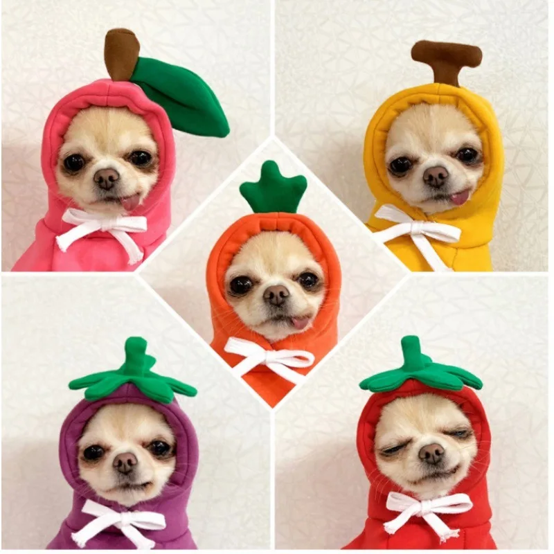

Fruit Turned Into Trendy Brand Dog Cat Clothes Small Dog Teddy Fight Funny Clothing Autumn and Winter Sweater Fleece Clothing