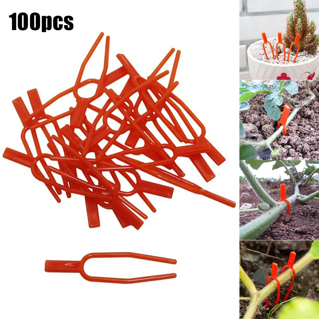100pcs/set Plants Stolons Fixture Clips Garden Plant Fixed Bracket Agriculture Watermelon Vegetables Vine Clip Random Color 66mm
100pcs/set Plants Stolons Fixture Clips Garden Plant Fixed Bracket Agriculture Watermelon Vegetables Vine Clip Random Color 66mm