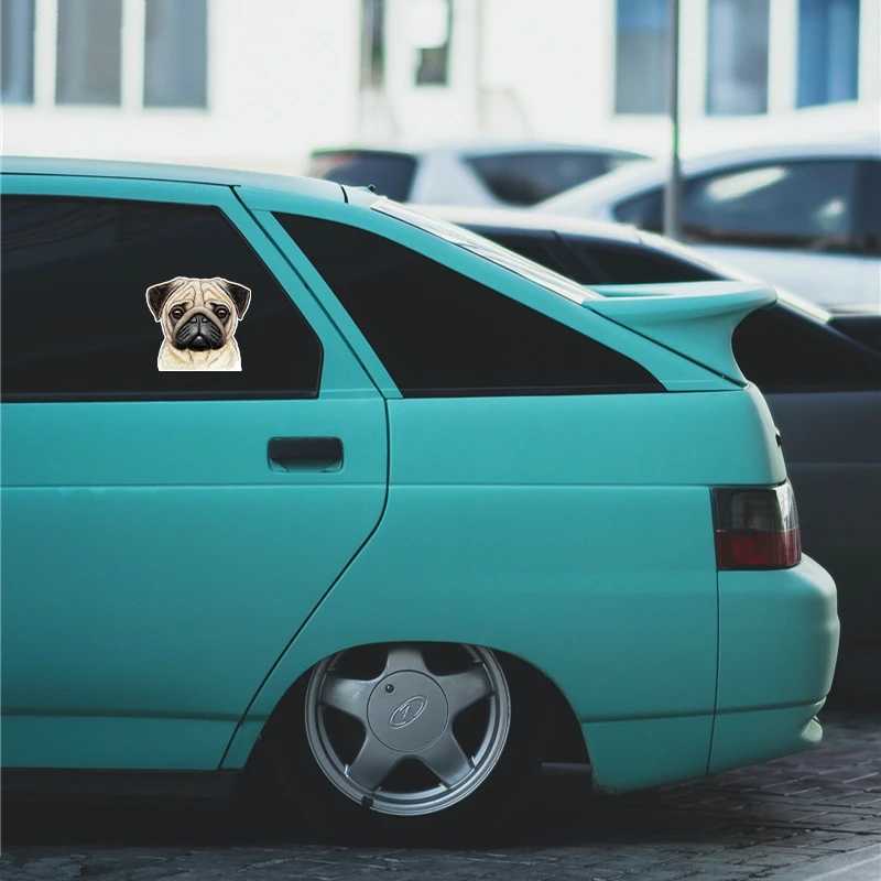 15cmx13cm Funny pug Vinyl Car stickers Decals Motorcycle Accessories Car-Window Decorative Goods PVC
15cmx13cm Funny pug Vinyl Car stickers Decals Motorcycle Accessories Car-Window Decorative Goods PVC