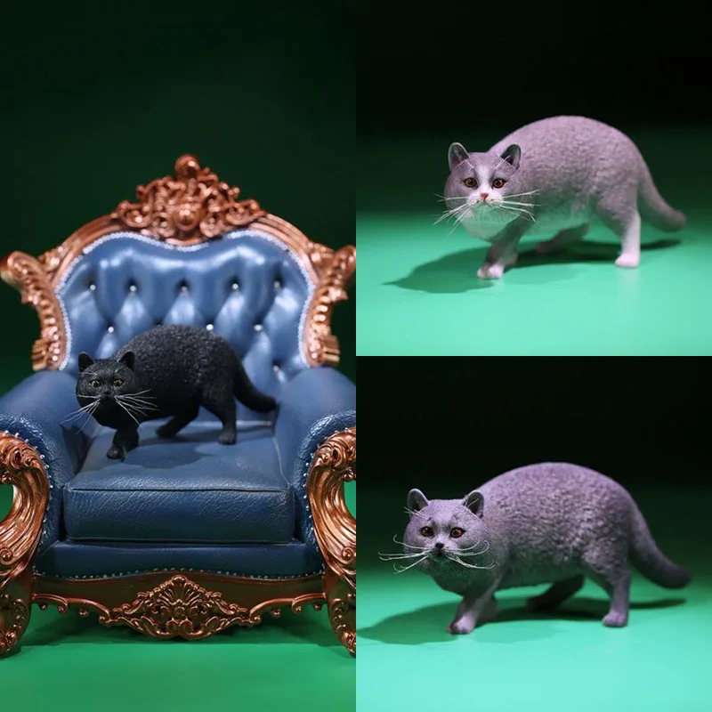 Модель 1/6 MRZ040 с изображением кота из короткого воздуха в британском стиле, милая статуя домашнего питомца, подходит для кукол-экшн-фигурок 12 ...
Модель 1/6 MRZ040 с изображением кота из короткого воздуха в британском стиле, милая статуя домашнего питомца, подходит для кукол-экшн-фигурок 12 ...
