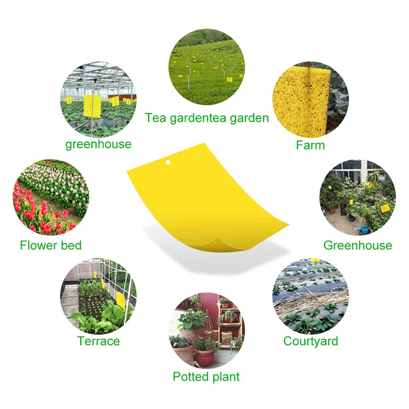 10/20 Pcs Yellow Greenhouse Sticky Traps - Catch Multiple Flying Insect Pests Double-sided Sticky Insect Board Yellow 15*10cm 
10/20 Pcs Yellow Greenhouse Sticky Traps - Catch Multiple Flying Insect Pests Double-sided Sticky Insect Board Yellow 15*10cm