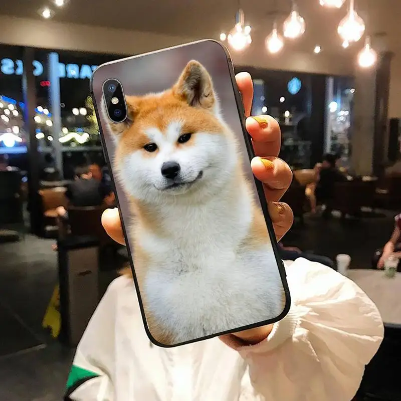 Animal Cute dog Akita Tea dog painting Phone Case for iPhone 11 12 pro XS MAX 8 7 6 6S Plus X 5S SE 2020 XR
Animal Cute dog Akita Tea dog painting Phone Case for iPhone 11 12 pro XS MAX 8 7 6 6S Plus X 5S SE 2020 XR
