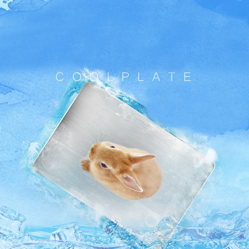 Stainless Steel Hamster Rabbit Mouse Cooling Mat Multifunctional Small Animal Hygienic Ice Bed for Cage Supplies
Stainless Steel Hamster Rabbit Mouse Cooling Mat Multifunctional Small Animal Hygienic Ice Bed for Cage Supplies