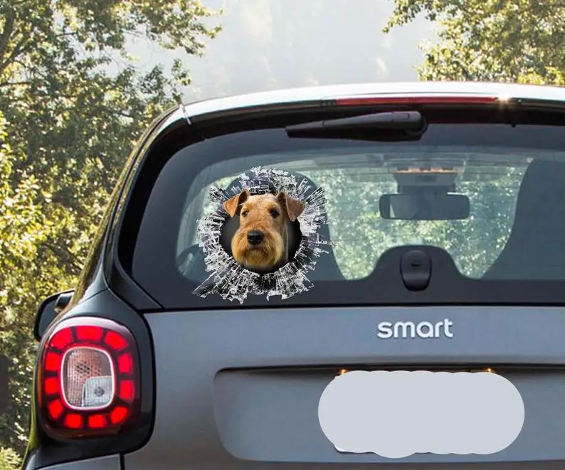 2021 Airedale window sticker, car sticker, Airedale car decal 
2021 Airedale window sticker, car sticker, Airedale car decal