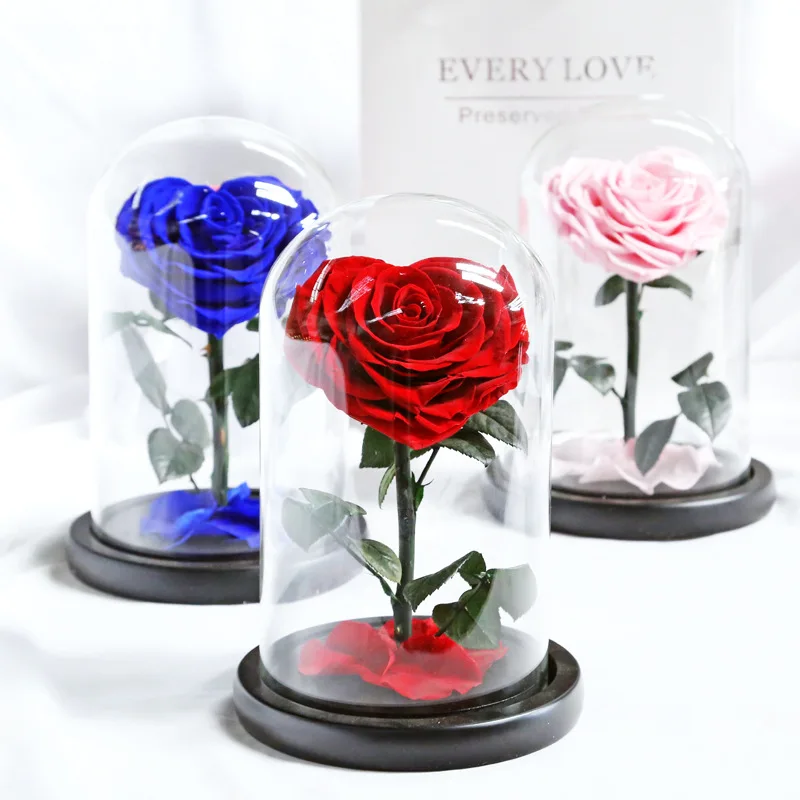 New Beauty and The Beast Roses Heart Shape Real Preserved Flowers In Glass Dome Valentine's Day Wedding Christmas Birthday Gifts
New Beauty and The Beast Roses Heart Shape Real Preserved Flowers In Glass Dome Valentine's Day Wedding Christmas Birthday Gifts