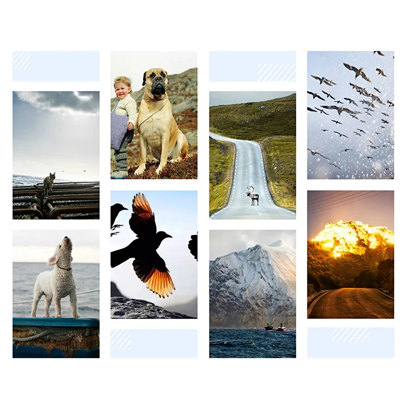 5D DIY Landscape Animal Diamond Painting Cross Stitch Full Square Round Drill Embroidery Handmade Home Room Wall Decor Craft
5D DIY Landscape Animal Diamond Painting Cross Stitch Full Square Round Drill Embroidery Handmade Home Room Wall Decor Craft