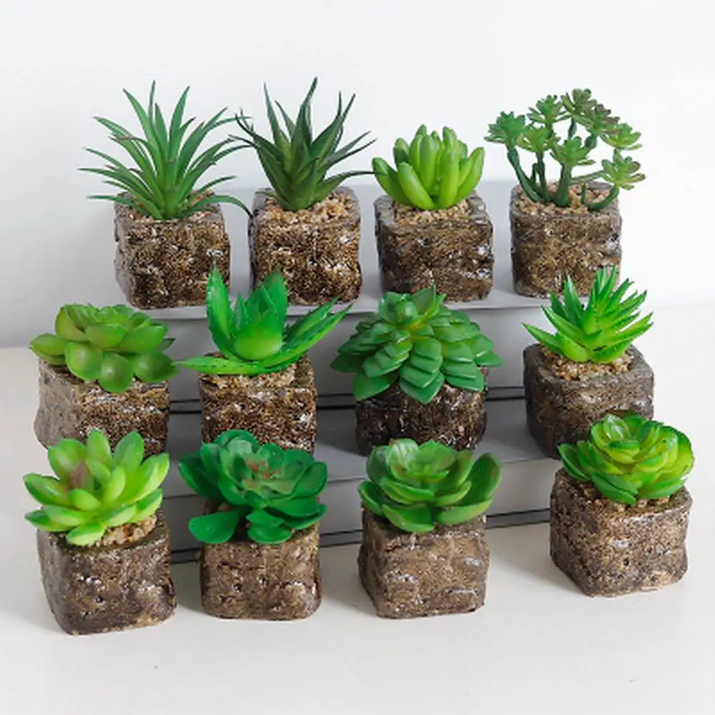 1pcs 12 Styles Mini Artificial Succulent Plants Decorative Cactus Cacti Plants Faux Potted Plants (Random)
1pcs 12 Styles Mini Artificial Succulent Plants Decorative Cactus Cacti Plants Faux Potted Plants (Random)