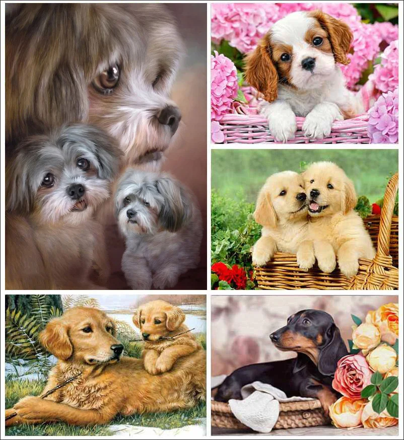 DIY Dog 5D Diamond Painting Full Round Drill Mosaic Animal Diamond Embroidery Cross Stitch Wall Art Home Decor Christmas Gift
DIY Dog 5D Diamond Painting Full Round Drill Mosaic Animal Diamond Embroidery Cross Stitch Wall Art Home Decor Christmas Gift