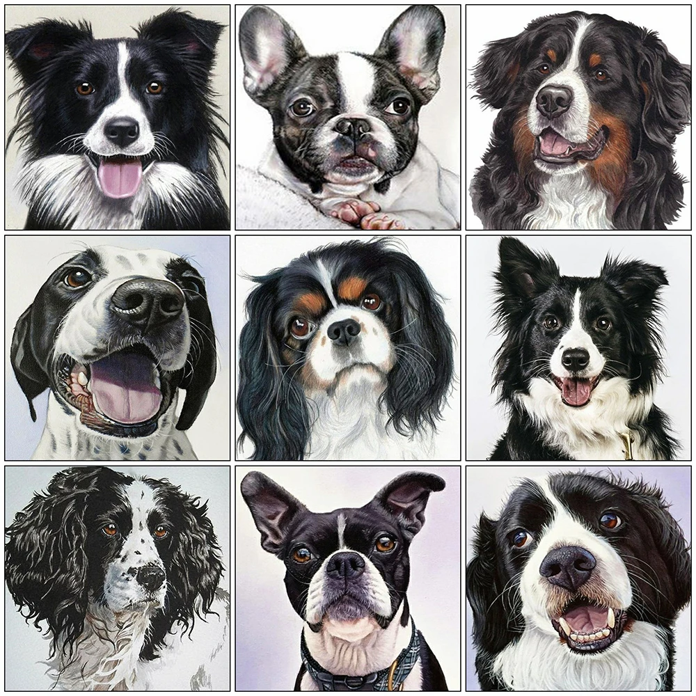 Full Square / Round Drill Diamond Painting Animals Diamond Embroidery Dog Cross Stitch Kit Rhinestone Picture Handicrafts Gift
Full Square / Round Drill Diamond Painting Animals Diamond Embroidery Dog Cross Stitch Kit Rhinestone Picture Handicrafts Gift