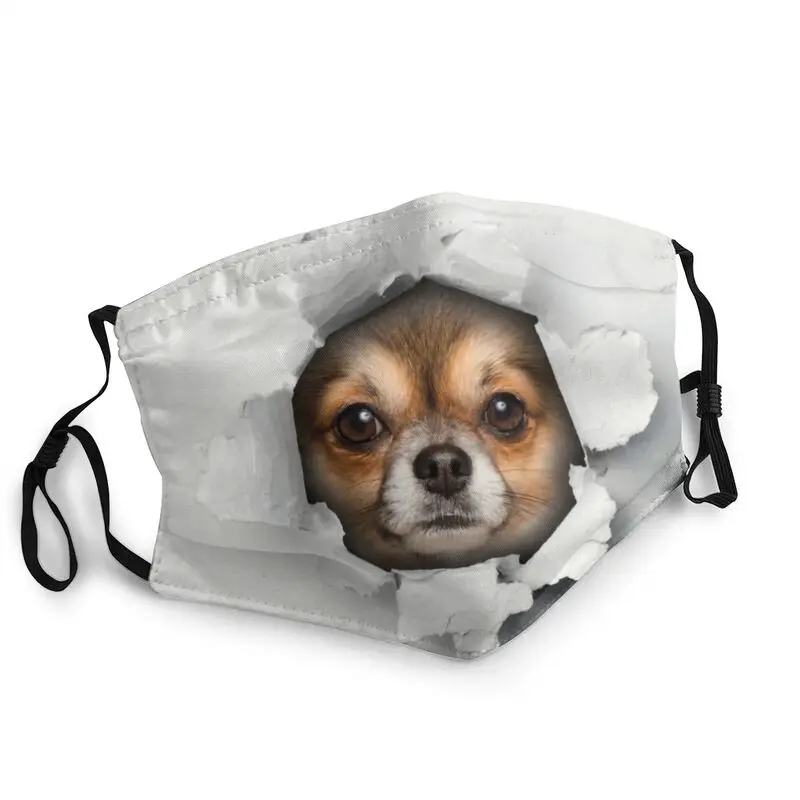 Cute Chihuahua Dog Face In A Hole Breathable Men 3D Funny Puppy Face Mask Anti Dust Protection Cover Respirator Mouth-Muffle 
Cute Chihuahua Dog Face In A Hole Breathable Men 3D Funny Puppy Face Mask Anti Dust Protection Cover Respirator Mouth-Muffle