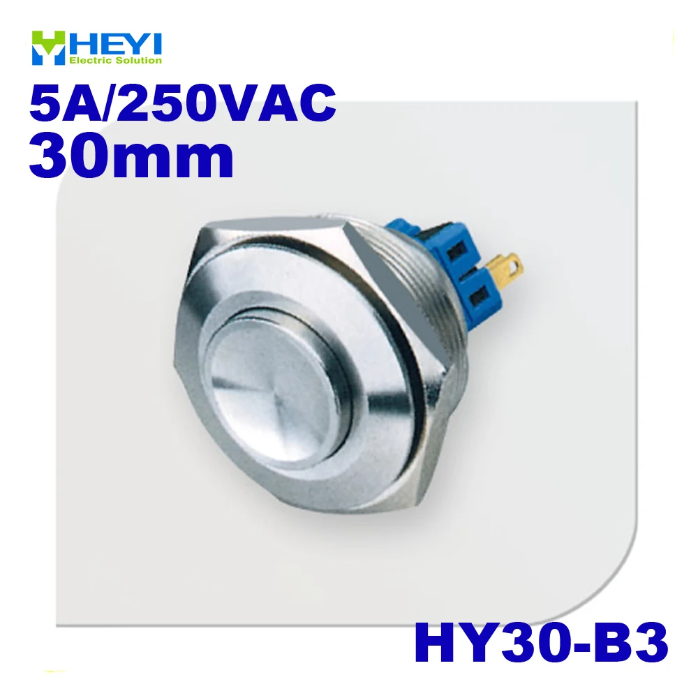 Stainless HY30-B3 1NO 1NC momentary/self-locking High flush head switch 5A/250VAC with pin 
Stainless HY30-B3 1NO 1NC momentary/self-locking High flush head switch 5A/250VAC with pin