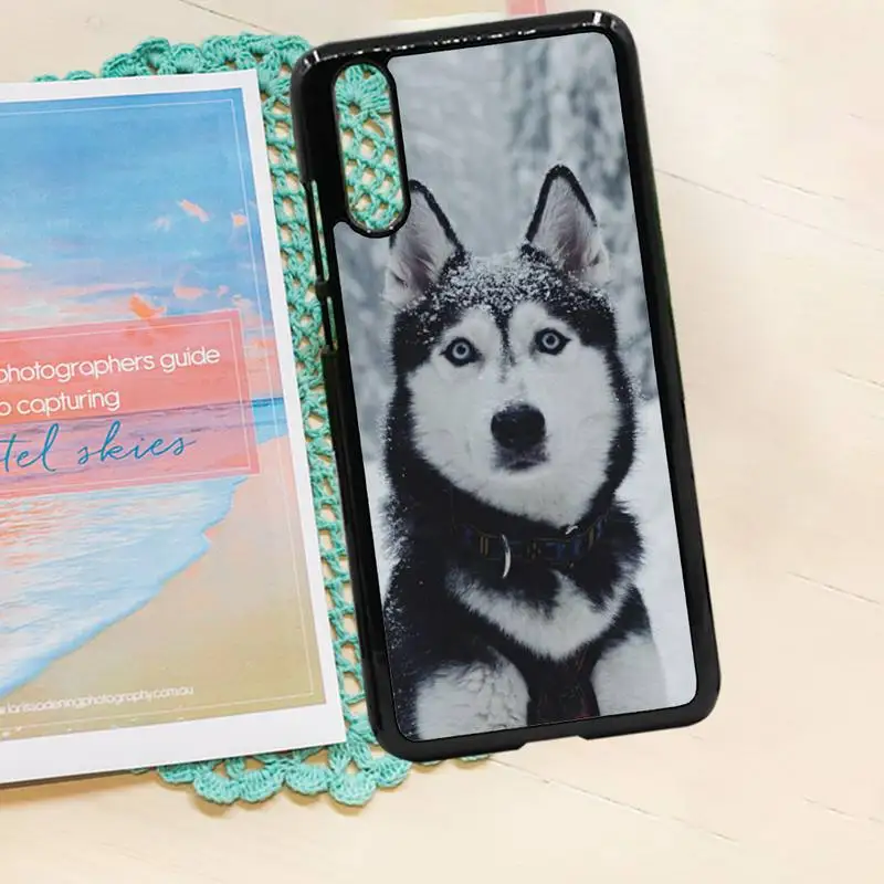 Husky Dog animal high quality Phone Case PC for iPhone 11 12 pro XS MAX 8 7 6 6S Plus X 5S SE 2020 XR
Husky Dog animal high quality Phone Case PC for iPhone 11 12 pro XS MAX 8 7 6 6S Plus X 5S SE 2020 XR