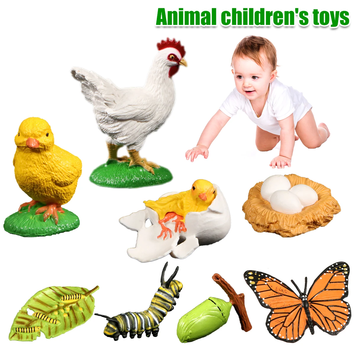 Animal Figurine Cycle Life Set Simulation Animal Life Cycle 4 Stage Animal Learning Model Educational Toys 
Animal Figurine Cycle Life Set Simulation Animal Life Cycle 4 Stage Animal Learning Model Educational Toys