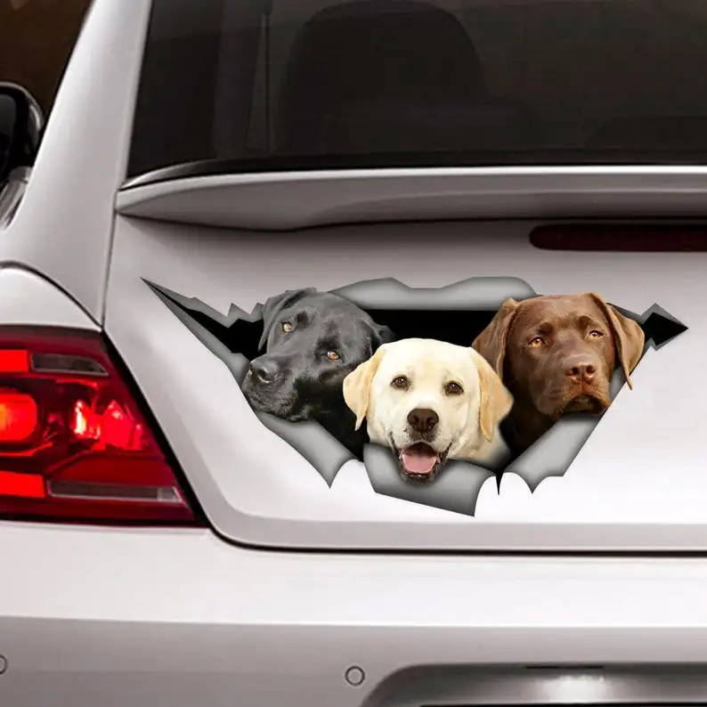 2021 Lab sticker, Golden lab, Chocolate lab, Black lab, Labrador car decal, dog car decal, car decoration, pet decal
2021 Lab sticker, Golden lab, Chocolate lab, Black lab, Labrador car decal, dog car decal, car decoration, pet decal
