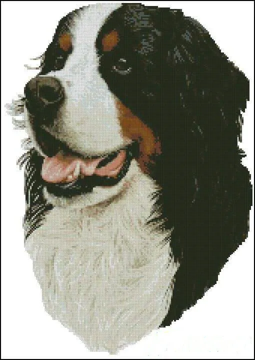 Bernese Mt собака животное собака четкая картина высшее качество наборы для вышивки крестиком 14CT непечатный швейный Комплект Вышивка ручная работа Декор 
Bernese Mt собака животное собака четкая картина высшее качество наборы для вышивки крестиком 14CT непечатный швейный Комплект Вышивка ручная работа Декор