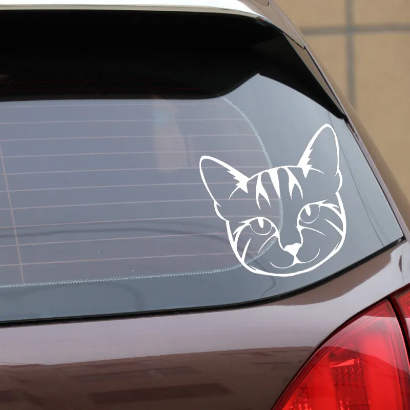 Car Sticker Fun Cartoon Animal Window Sticker Cat Face Black PVC Decal/silver 15.1X14.9CM
Car Sticker Fun Cartoon Animal Window Sticker Cat Face Black PVC Decal/silver 15.1X14.9CM