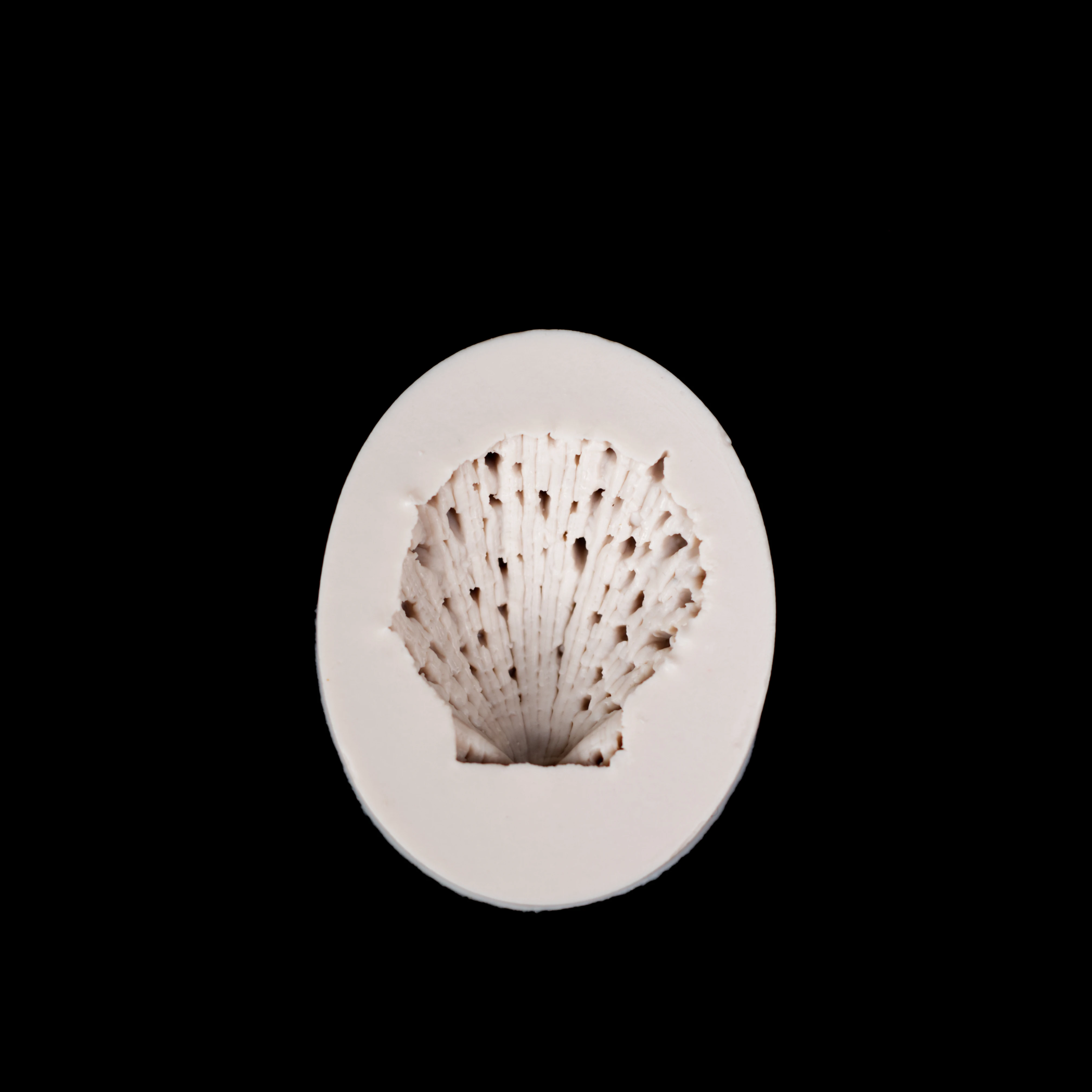 1pc Big Famous Sea Shell lace cake mold fondant mold silicone mould cake decorating tools DIY cake baking Tools FTM1354
1pc Big Famous Sea Shell lace cake mold fondant mold silicone mould cake decorating tools DIY cake baking Tools FTM1354