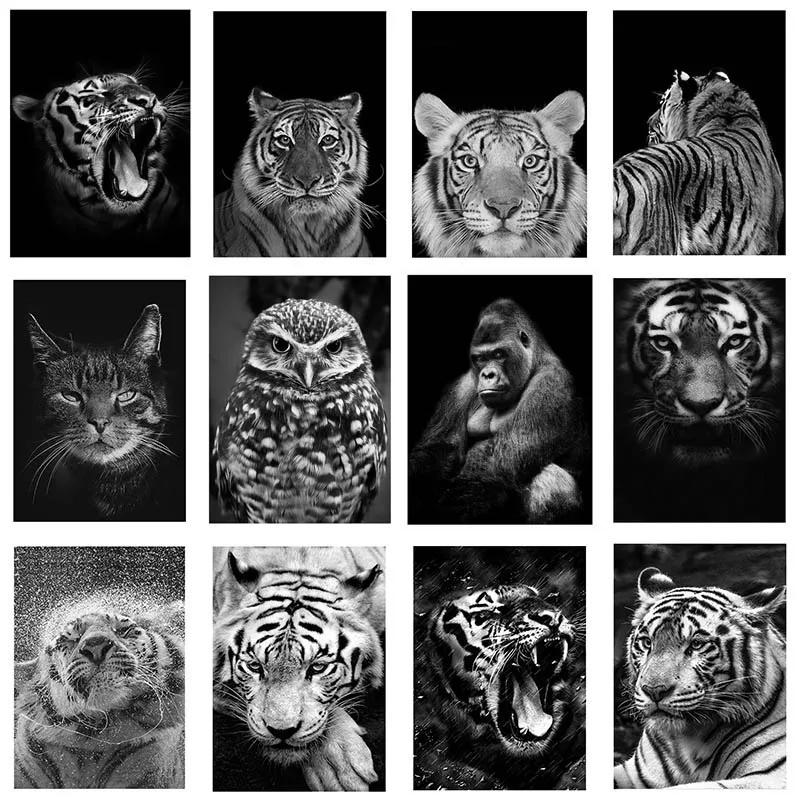 Diamond Painting 5D Diamonds DIY Animal Cross Stitch Full Square Round Drill Embroidery Colorful Handmade Home Room Wall Decor
Diamond Painting 5D Diamonds DIY Animal Cross Stitch Full Square Round Drill Embroidery Colorful Handmade Home Room Wall Decor
