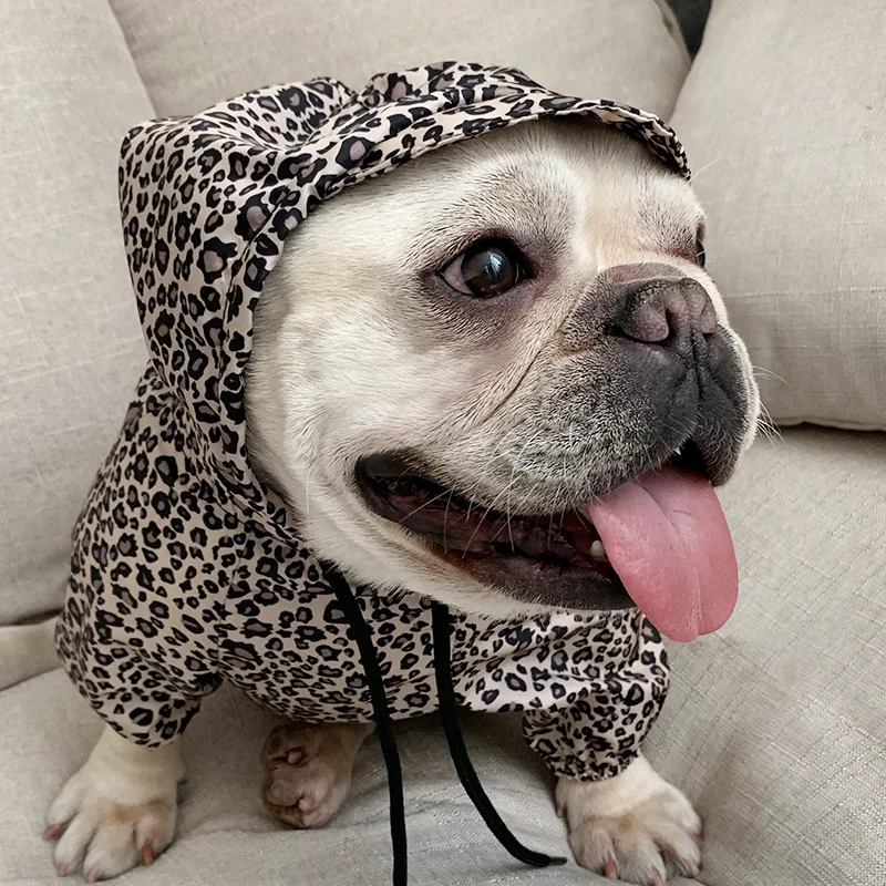 New Coat For Dogs Small Pet Clothes Think Jacket for Cats Clothing For Puppy French Bulldogs Chihuahua Schauzer Hoodies For Dogs
New Coat For Dogs Small Pet Clothes Think Jacket for Cats Clothing For Puppy French Bulldogs Chihuahua Schauzer Hoodies For Dogs
